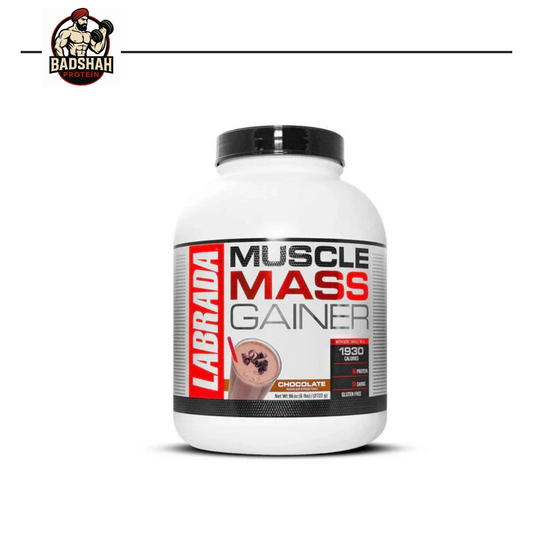 Labrada Muscle Mass Gainer Big Box 6LB 3kg