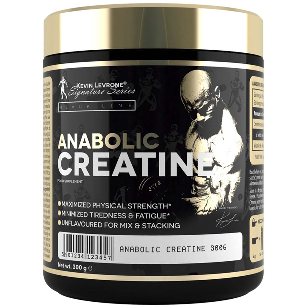 Kevin Levrone Anabolic Creatine 60 Servings